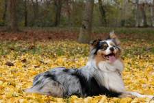 Lucia LOPS - LULU PHOTOGRAPHY