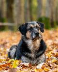 HULIN JEROME - DJEDJE PHOTOS