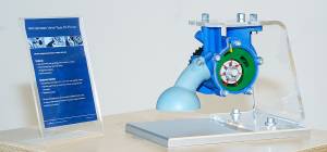 BIGNOLAIS PASCAL - STUDIO NOMADE